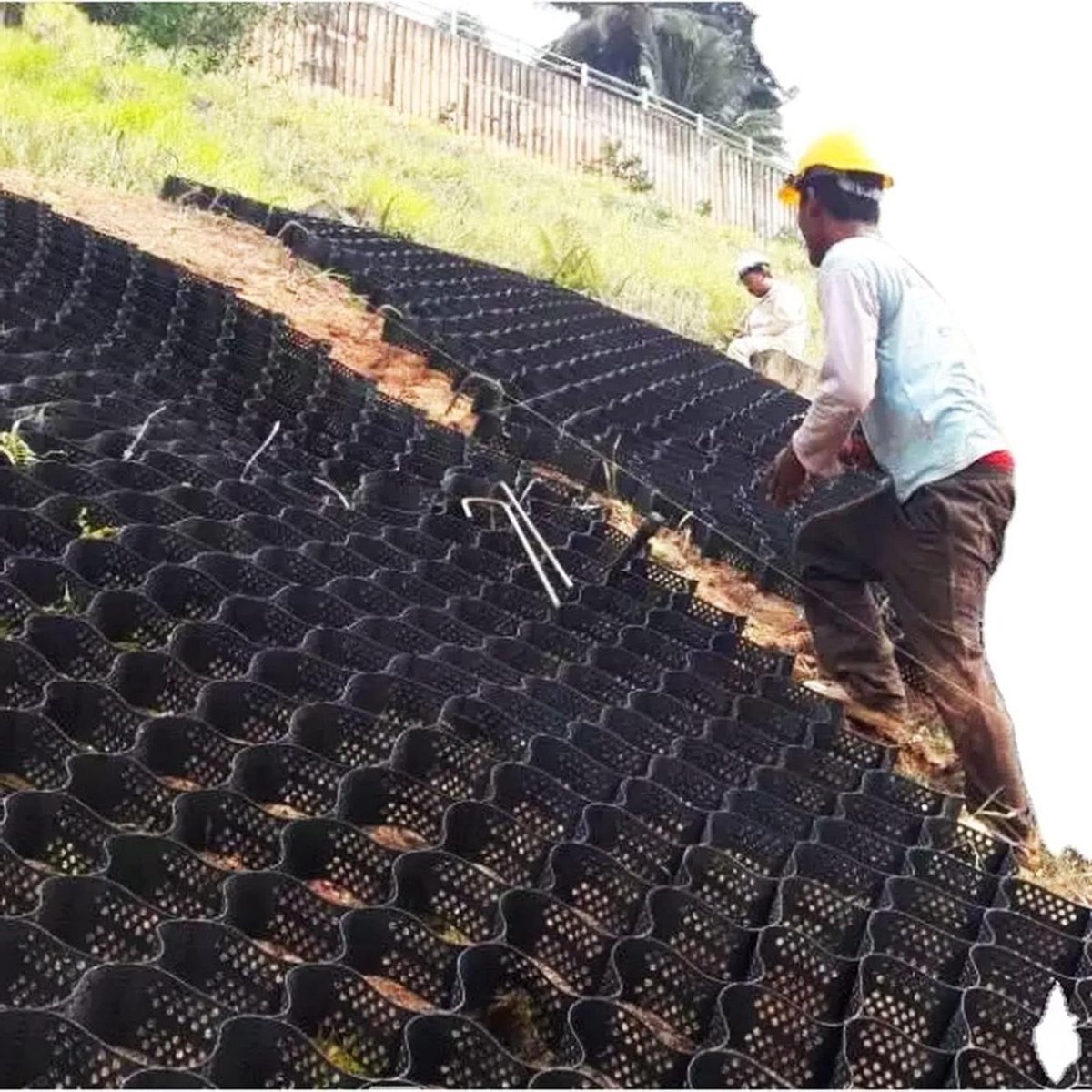 Vloerrooster HDPE - Bodemstabilisator Grid - Oprit Verstevigen - Hoge Treksterkte - 200 x 600 cm - Zwart