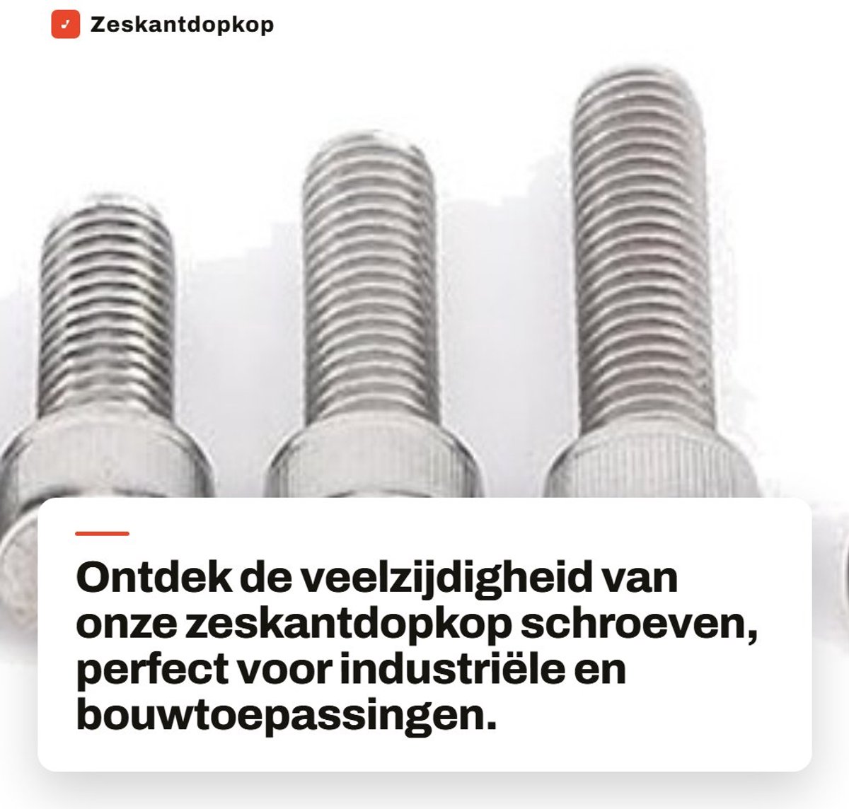 Dailygoods- Zeskantdopkop Schroeven 304 Roestvrij Staal - Zeskantmoer - Bevestigingscomponent - Assortiment - Maten M3/M5/M6/M8 - Goede Treksterkte