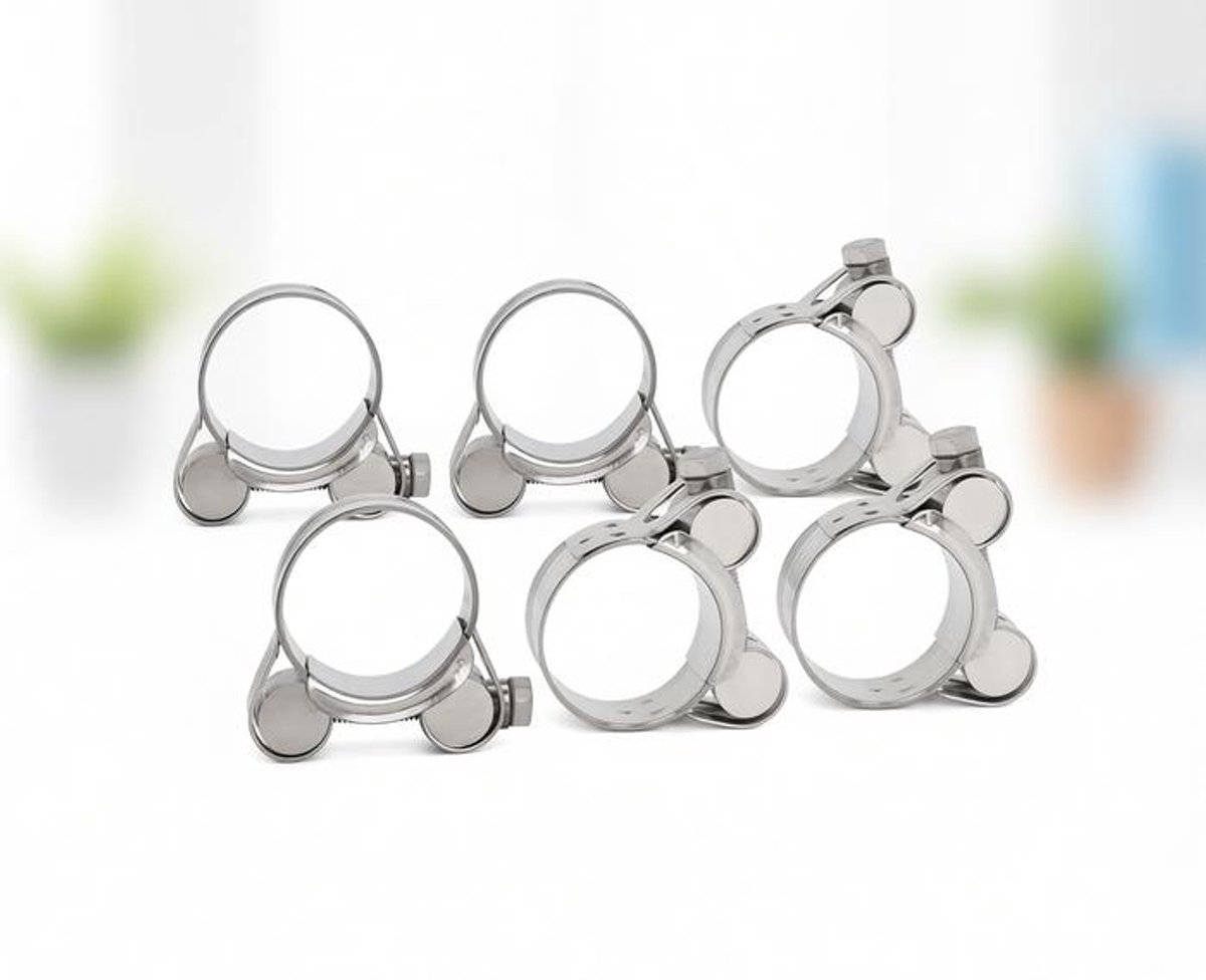 ElleMooi 6 stuks slangklemmen roestvrij staal spanbereik 29-31 mm bandbreedte 20 mm bout M6x50