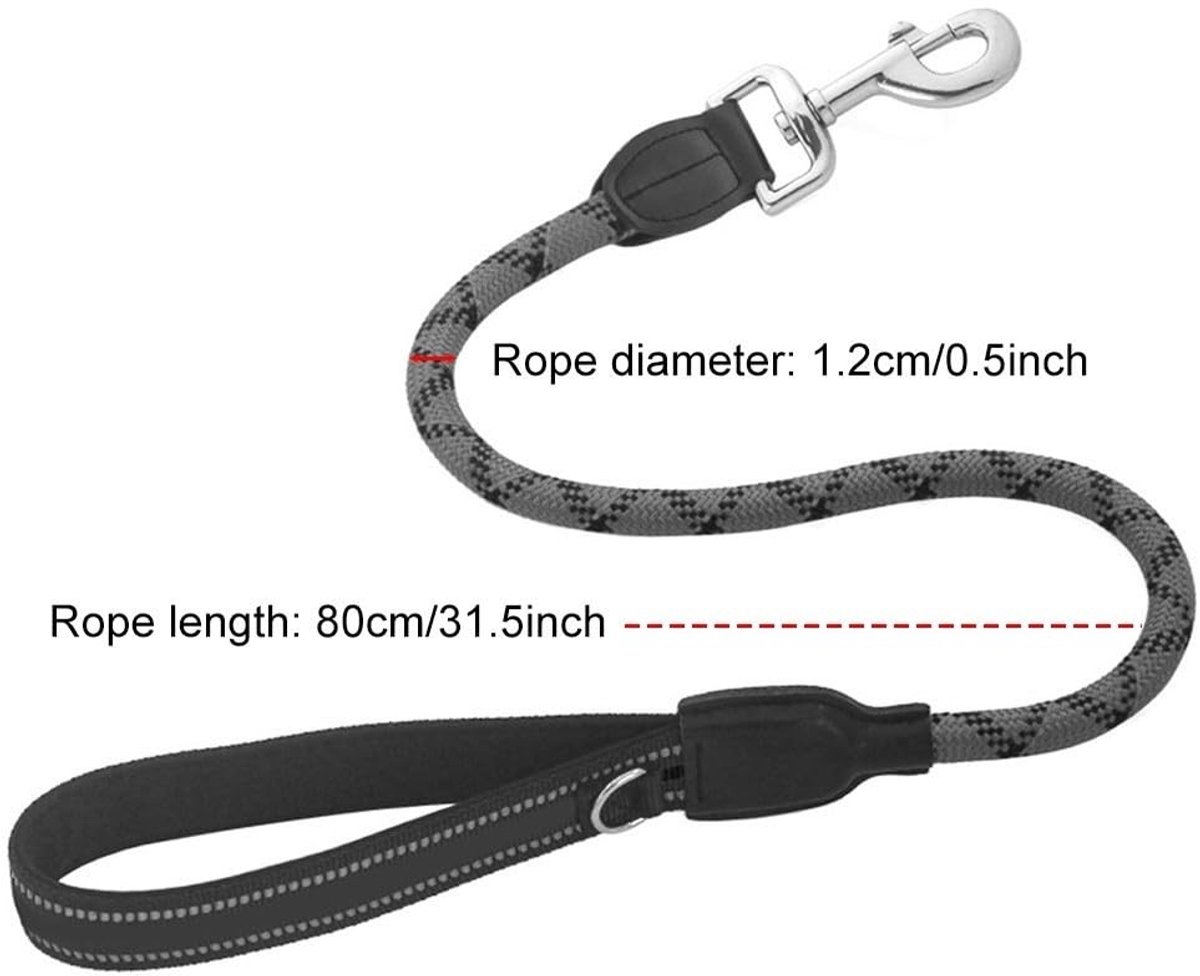 Dailygoods- Hondenriem - Elastische Nylon - Gevoerd Handvat - Reflecterende Stiksels - Metalen D-Ring - Duurzaam Materiaal - Hondentouw