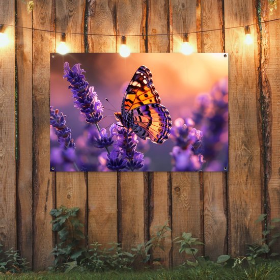 Een vlinder met oranje, zwart en paarse vleugels zit op paarse lavendel, aan een houten schutting met warme verlichting.