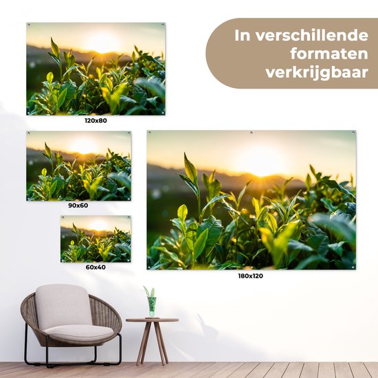 Tuinposter 180x120 cm - Tuindecoratie Zon verlicht de bladeren van theeplanten op een theeplantage - Poster voor in de tuin - Buiten decoratie - Schutting tuinschilderij - Tuindoek muurdecoratie - Wanddecoratie balkondoek