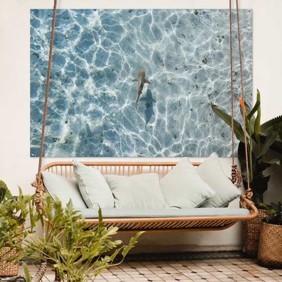 Décoration murale Requin en eau peu profonde - 180x120 cm - Poster de jardin