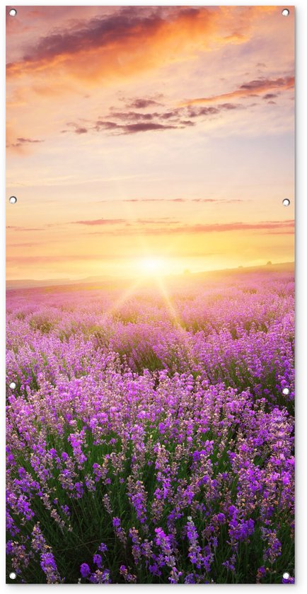 Tuinposter 80x160 cm - Tuindecoratie Lavendel - Zon - Bloemen - Poster voor in de tuin - Buiten decoratie - Schutting tuinschilderij - Tuindoek muurdecoratie - Wanddecoratie balkondoek