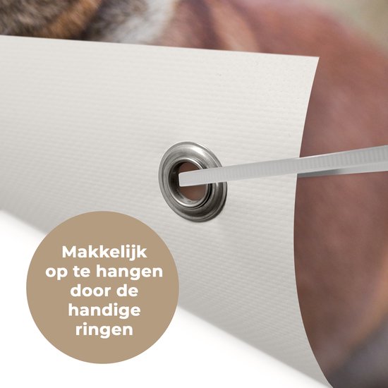 Tuinposter 50x50 cm - Tuindecoratie Mechelse herder die de bal met haar poot beet houdt - Poster voor in de tuin - Buiten decoratie - Schutting tuinschilderij - Tuindoek muurdecoratie - Wanddecoratie balkondoek