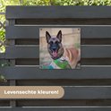 Afbeelding nummer  15