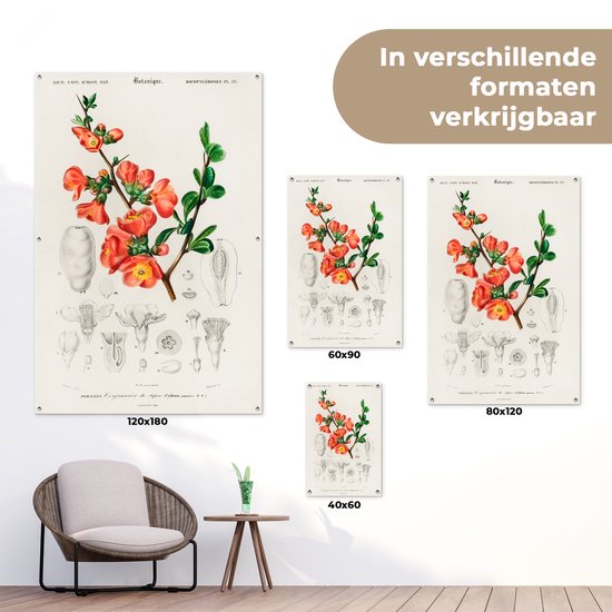 Décoration murale Plante - Vintage - Botanica - 120x180 cm - Affiche jardin - Toile jardin