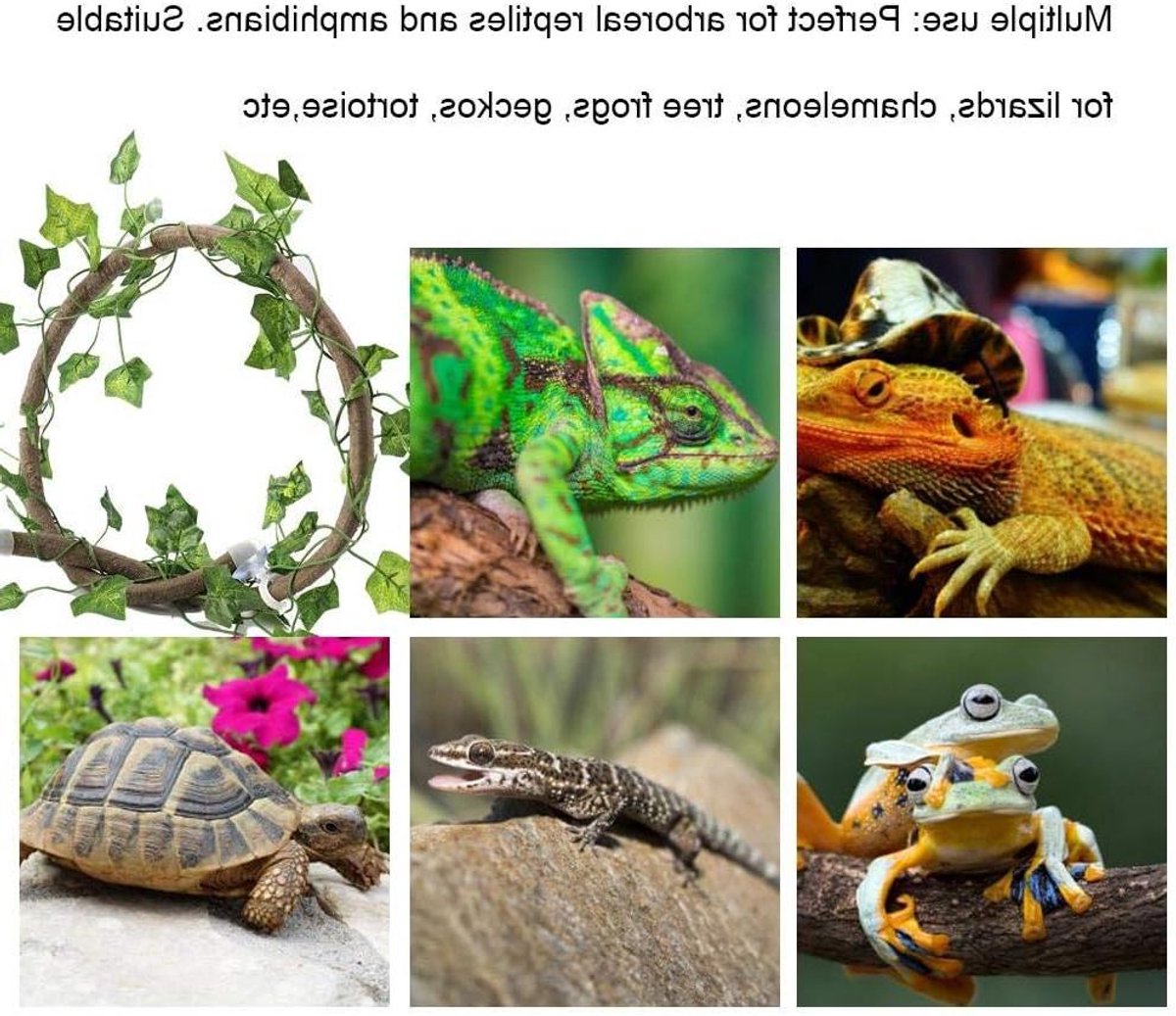 Reptielen Klimtouw - Nep Lianen - Terrarium Inrichten - Flexibel en Buigzaam - 1 Meter - Bruin