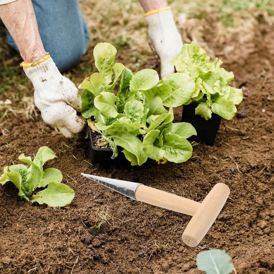 Hand Dibber - Planten Tool - Bloembollen Planten - Ergonomisch Handvat - 26 cm - Beige — afbeelding 2