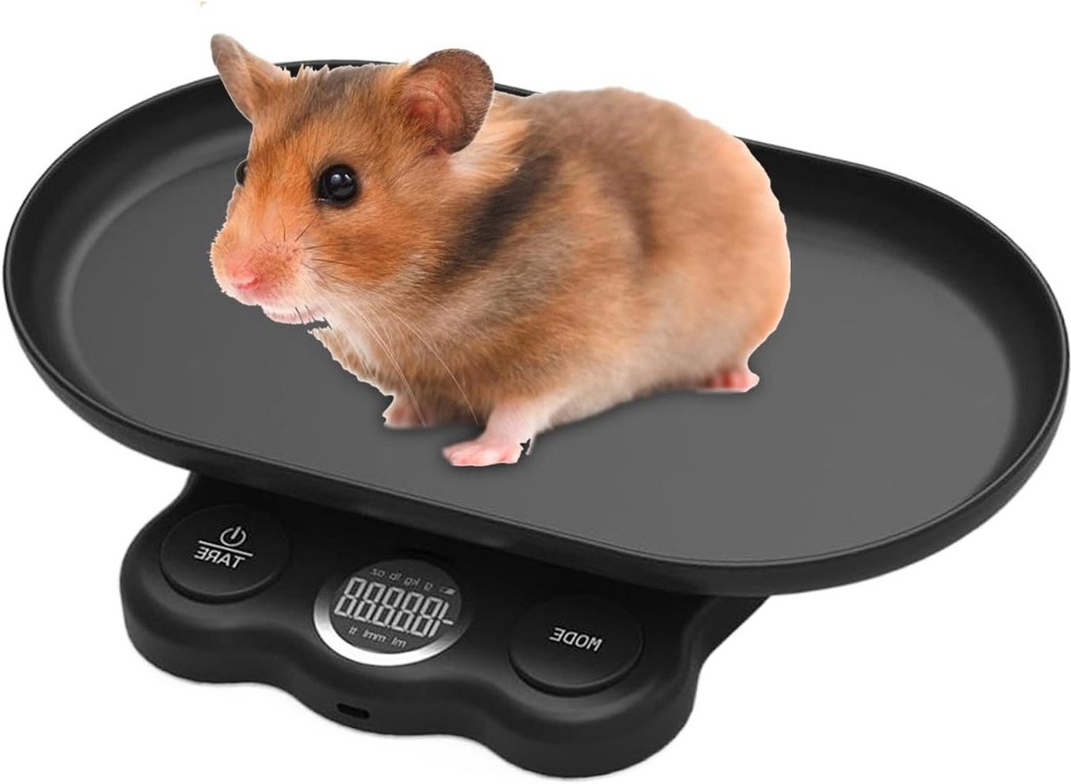 Digitale Huisdierweegschaal - Kleine Dier Weegschaal - Gezondheid Monitoren - Hoge Precisie Meting - Max 15 kg - Wit Zwart