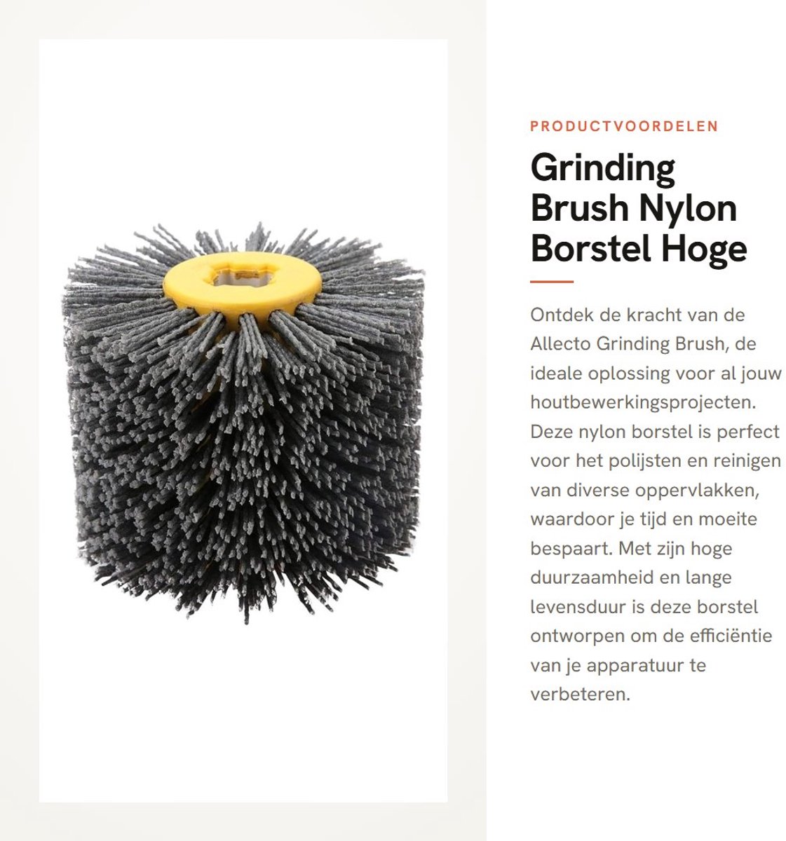 Dailygoods- Nylon Borstel Hoge Duurzaamheid - Schrobborstel - Polijstschijf - Houtbewerking - Deburren - Schoonmaken - Geschikt voor Diverse Oppervlakken - Schuurborstel