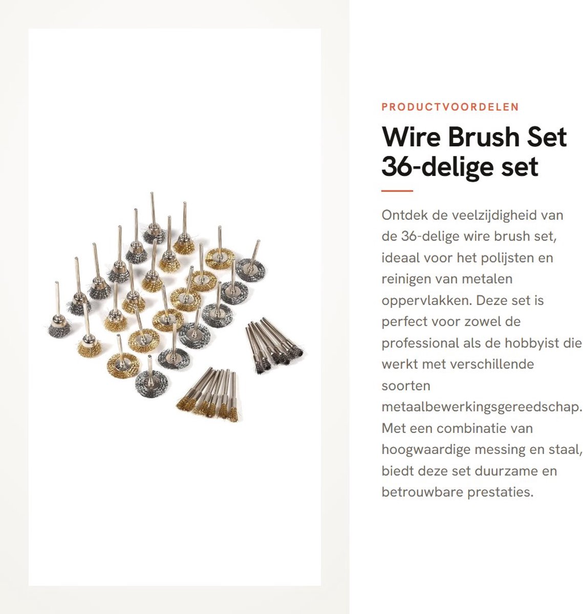 Dailygoods - Wire Brush Set - 36-delige set - Geschikt voor polijsten en reinigen - Kleur: zilver - Roestverwijderaar - Voor metaalbewerkingsgereedschap