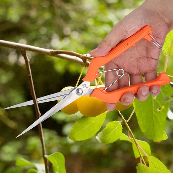 Lange Snoeischaar 25cm met RVS Scherpe Bladen voor Takken en Bloemen van Merkloos	 — afbeelding 5