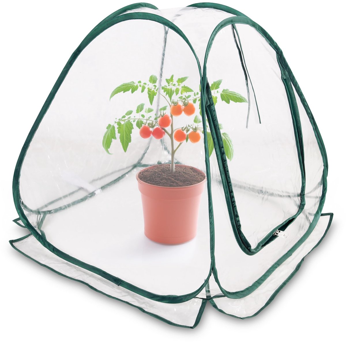 Dailygoods- Broeikas Mini Pop-up - Kleine Kweekkas 60 x 60 cm - Transparante PVC Overwinteringstent - Voor Groenten/Bloemen/Paddenstoelen - Geen Opbouw Nodig - Duurzaam Ontwerp - Tuinbroeikas