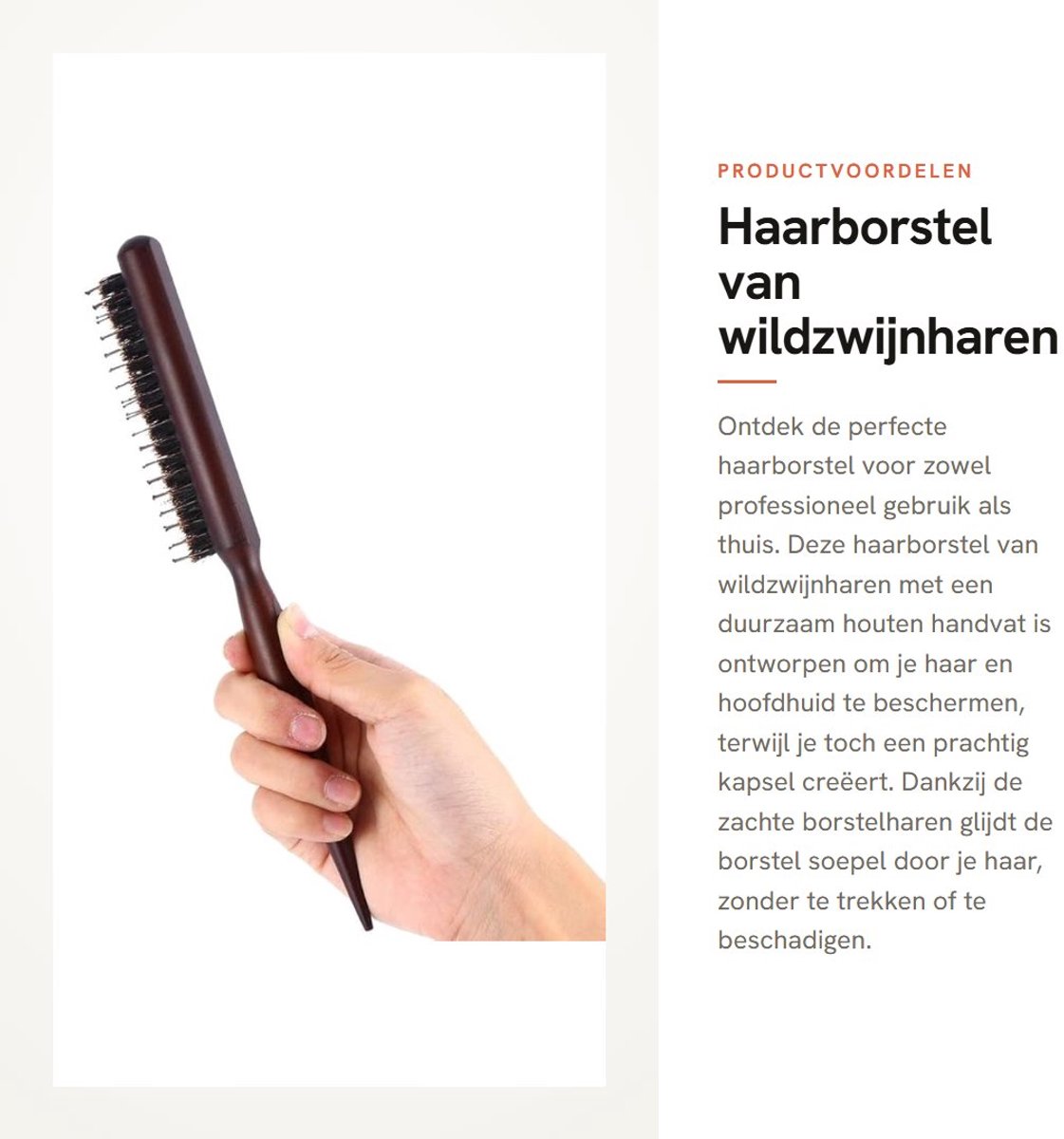 Dailygoods- Haarborstel Varkenshaar - Houten Handvat - Duurzaam - Lichtgewicht - Professioneel Gebruik - Afmetingen 24 x 3 cm - Kappersborstel