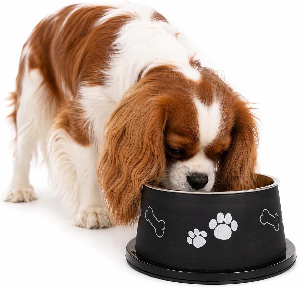 Voerbak Hond - Hondenbak Kena - Voeding Hond - Speciaal voor lange oren - 13 cm - Zwart