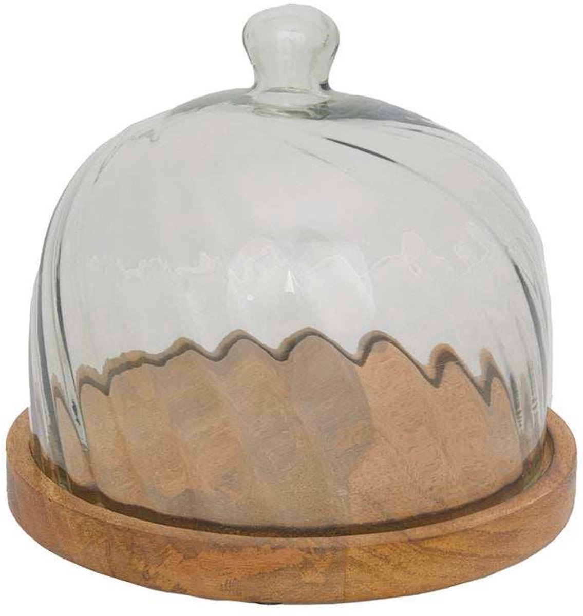 House of Nature Stolp San Jose 20cm