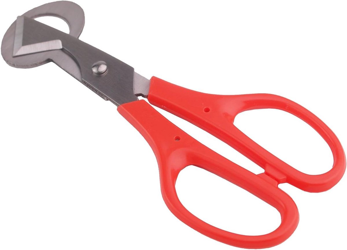 Eierdopje Kwartel - Eierhouder - Ontbijt Serveren - Pewter Materiaal - 148 x 87 x 1 cm - Rood