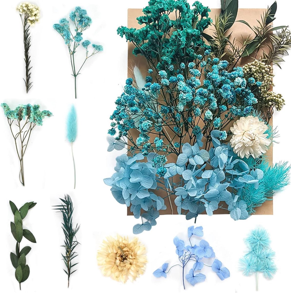 Natuurlijke Gedroogde Bloemen voor Epoxyhars Sieraden, Nail Art en DIY Decoratie, Mixed Droogbladeren voor Kaarten en Scrapbooking
