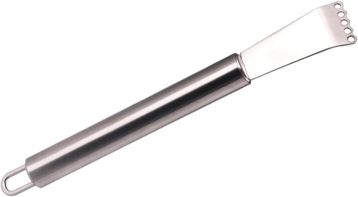 RVS Rasp - Citrus Zester - Smaak Toevoegen - Roestvrij Staal - 14.5 cm - Zilver