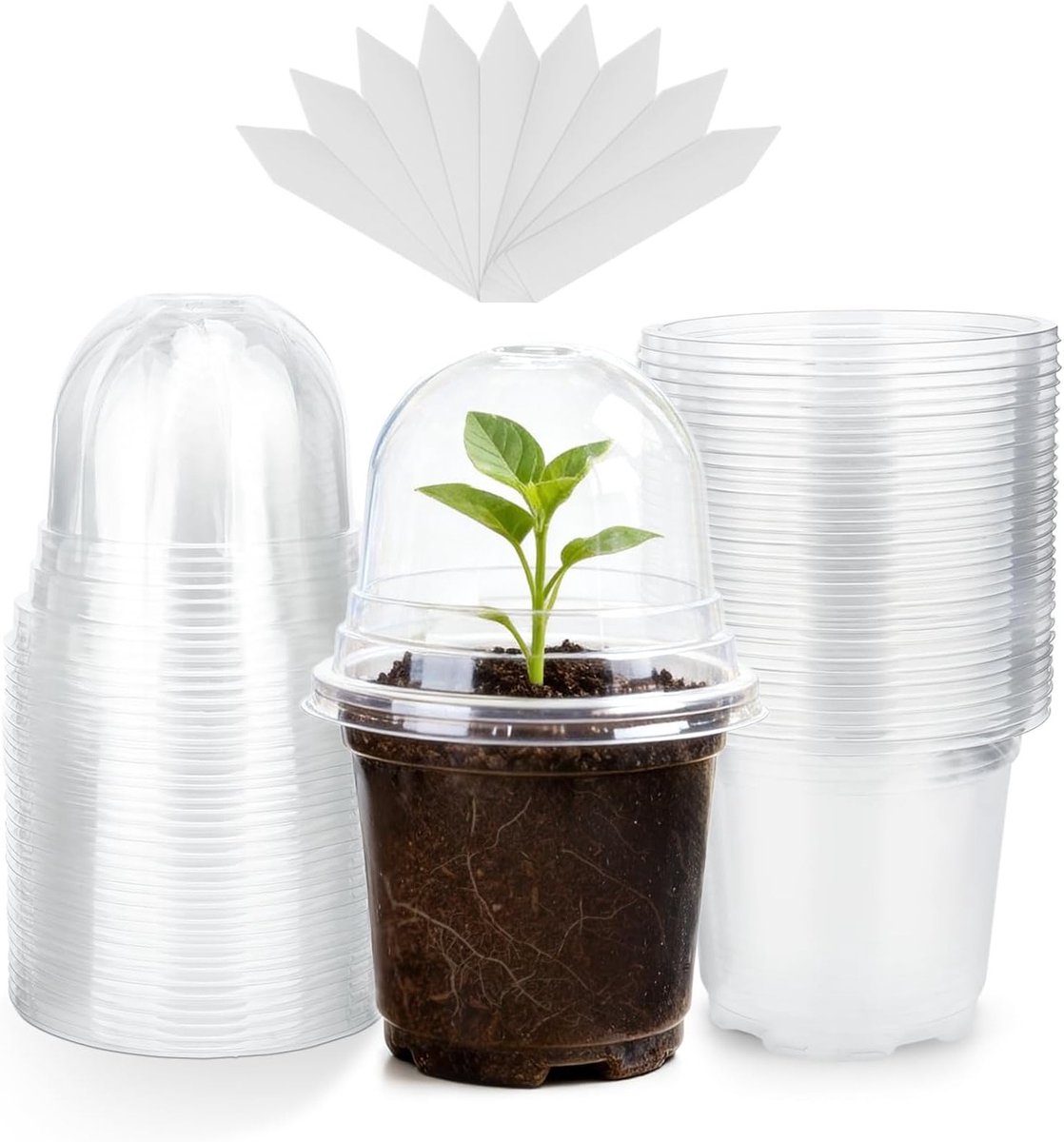 12 Stuks 10cm Doorzichtige Plastic Plant Potten met Vochtigheidsdome voor Zaailingen, Stekken en Vetplanten met 12 Plant Labels