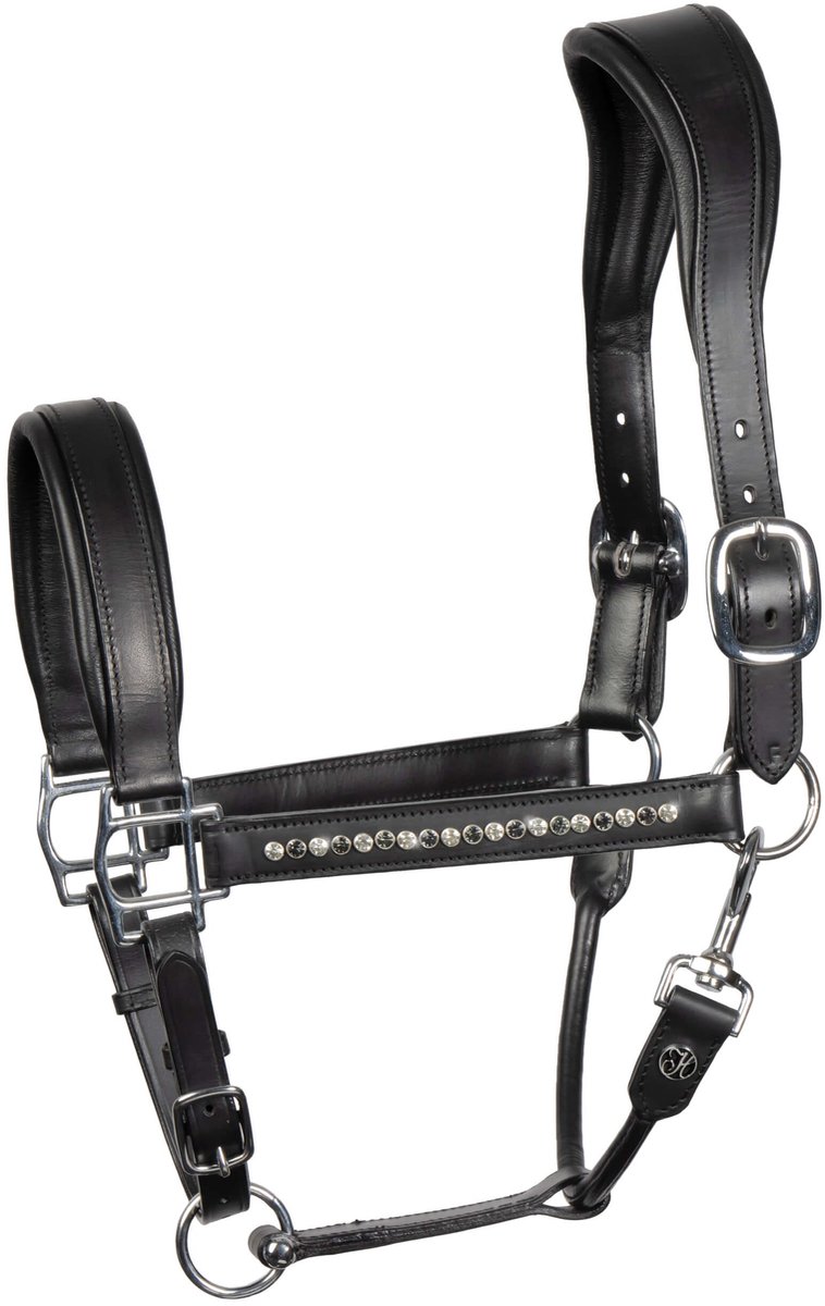 Halster Leder Anatomic Crystal | Full