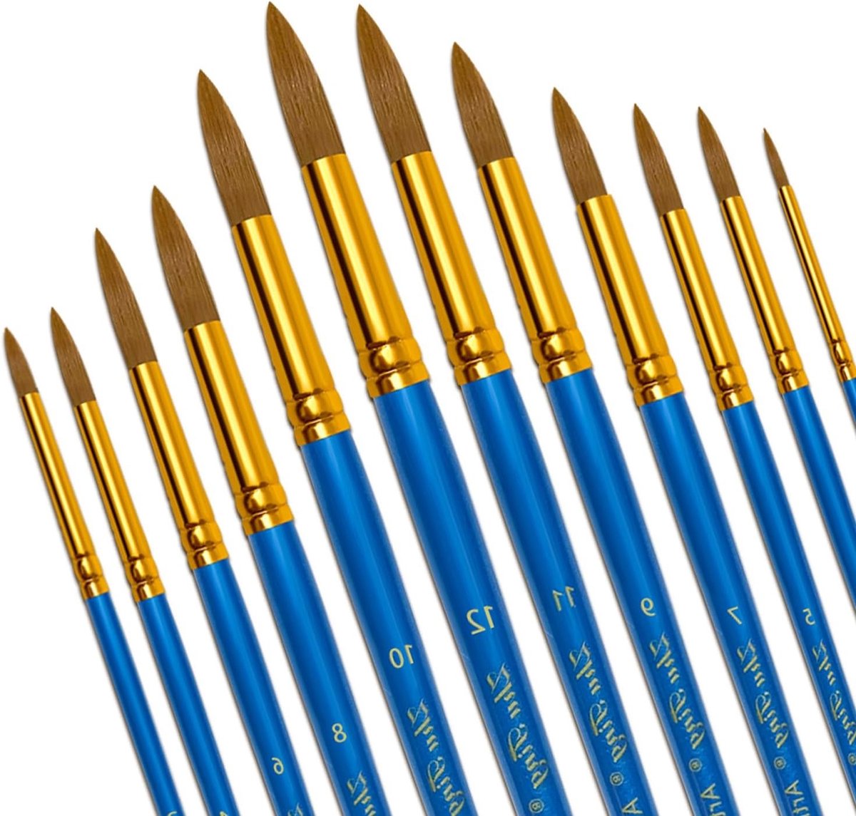Set van 12 Nylon Penseelkwasten voor Acryl, Waterverf en Olieverf - Ideaal voor Schilderen en Kunstprojecten