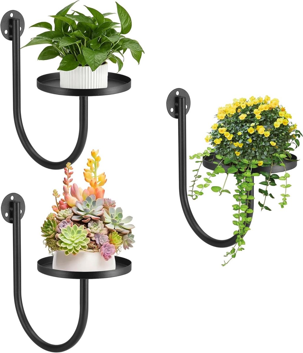 3 stuks metalen wandhouder voor planten, U-vorm, zwart