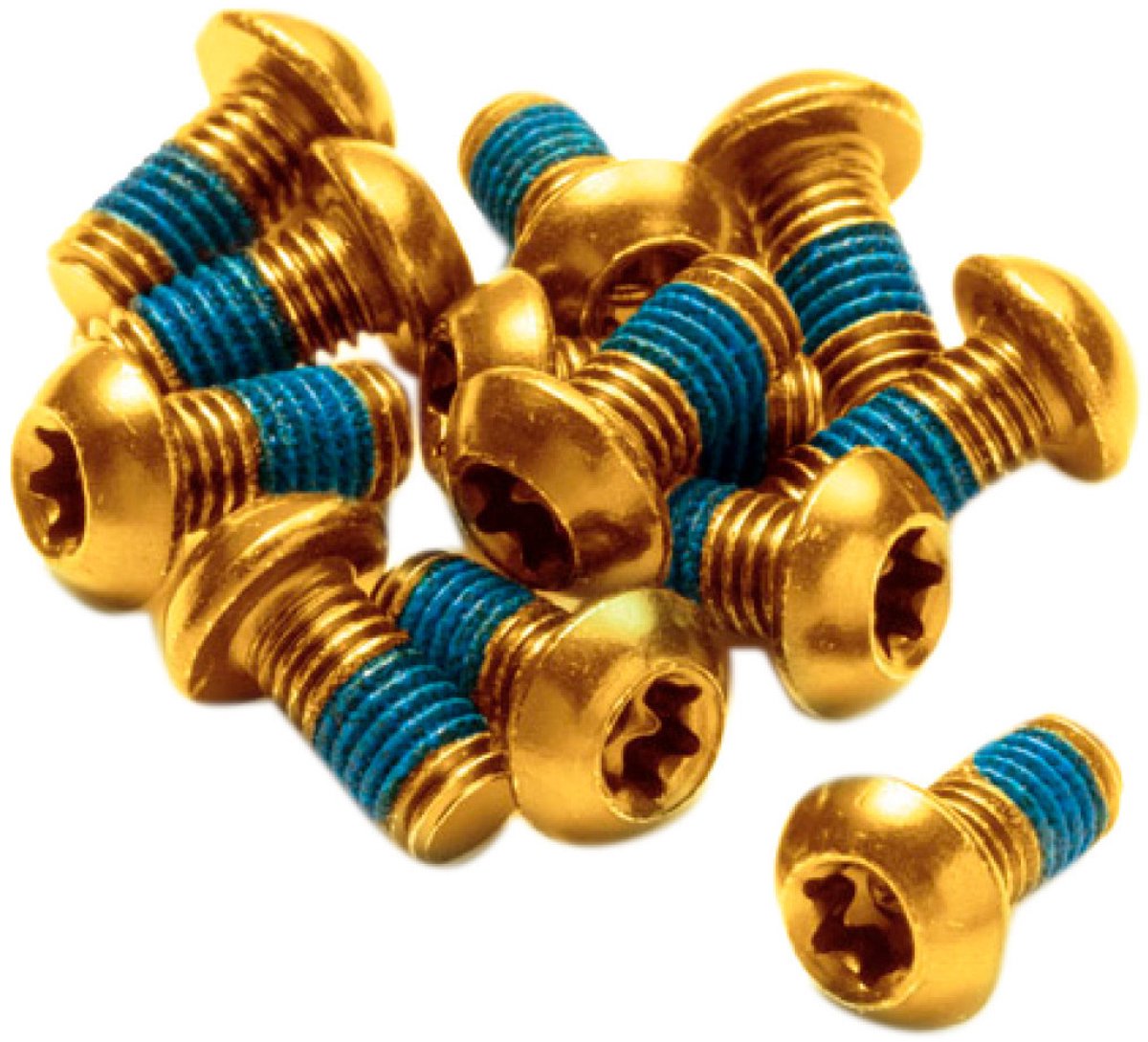 Reverse Disc roodor Bolt Set 12 pieces gold