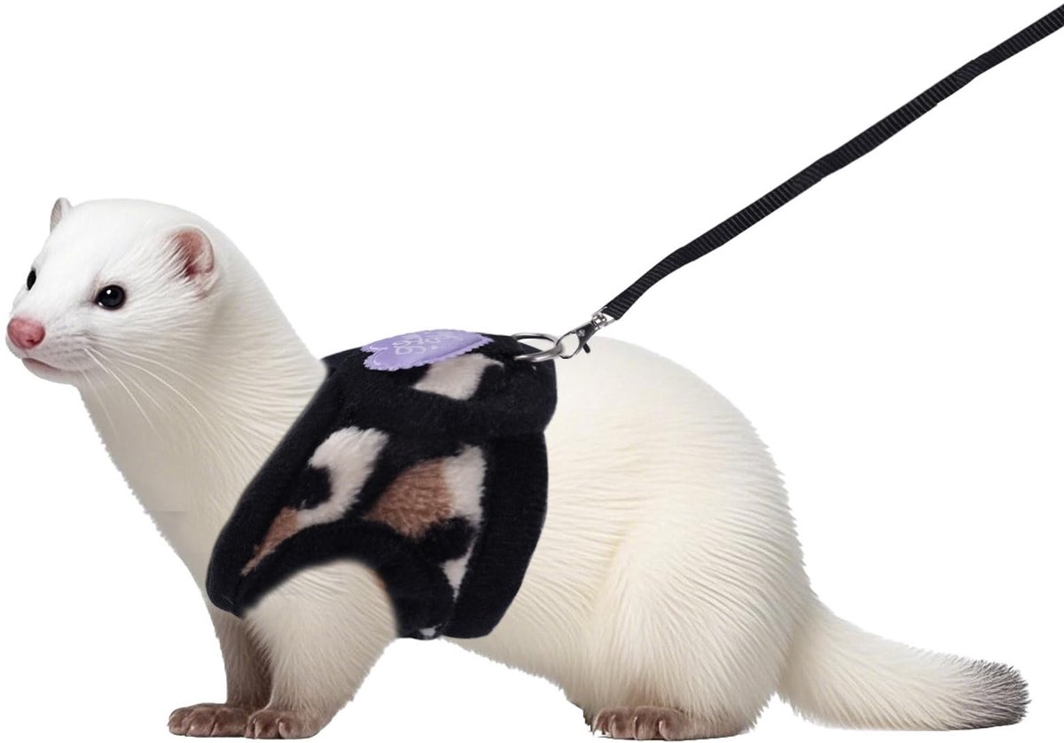 Dailygoods - Dailygoody - Harnasje en Leash Set voor Kleine Huisdieren - Comfortabele outdoor accessoires - Perfect voor wandelingen - Leopard Print - Ideaal