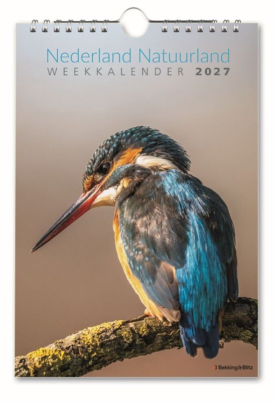 Een ijsvogel met helderblauwe vleugels en een oranje borst zit op een tak. Titel: Nederland Natuurland Weekkalender 2027.