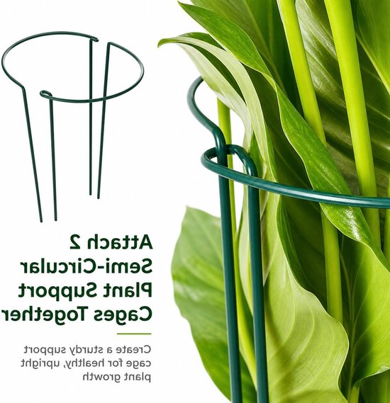 Set van 6 Metalen Halve Plantsteunen voor Klimplanten, Bloemensteunen en Tuinondersteuning voor Potplanten, Pioenrozen, Hortensia's en Groenten (35 x 20 cm) — afbeelding 4