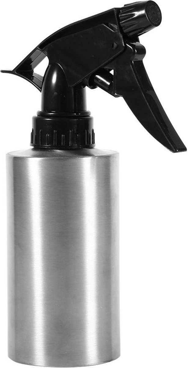 Dailygoods- Gieter 304 Roestvrij Staal - Handdruk Sproeier - Multifunctionele Waterkoker - Voor Planten/Gezicht - 250ml - Duurzaam en Corrosiebestendig - Waterfles