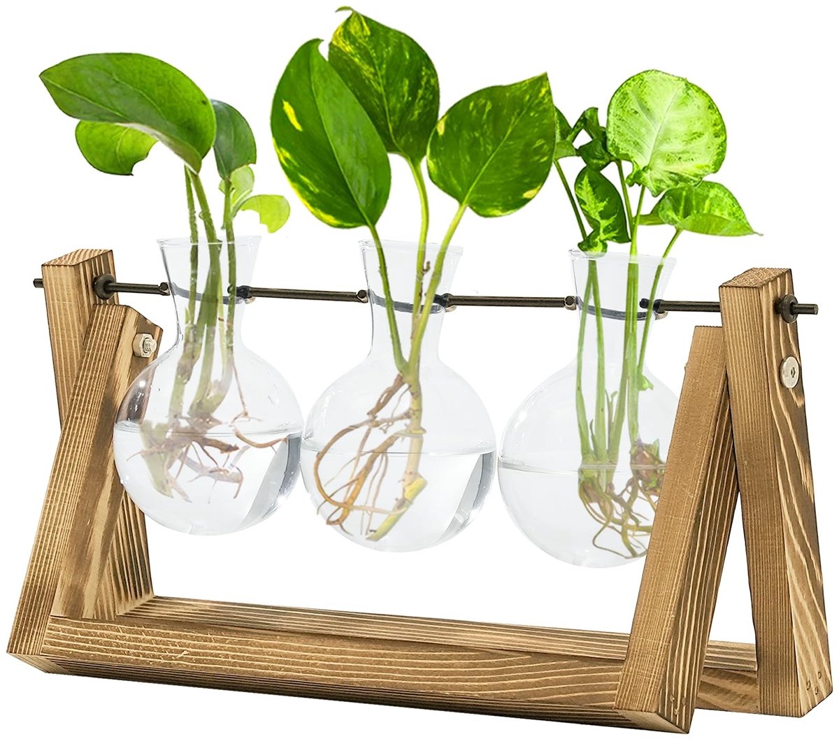 Dailygoods- Plantenvermeerstation Stijlvol - Hydroponie - Houten Standaard - Drie Glazen Vazen - Waterplanten - Woondecoratie - Plantenhouder