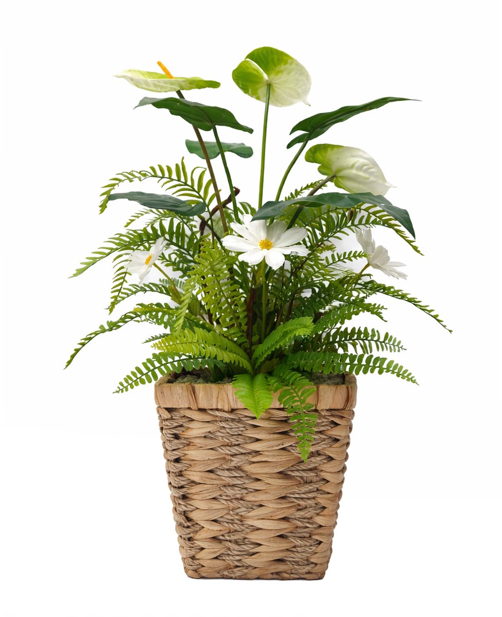 UNUS Kunstbloem met mand bloemstuk met anthurium margriet varen 63 cm