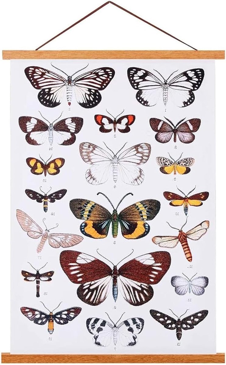 Houten Magnetische Posterlijst voor Canvas Kunstprints - Pendelset voor Muurdecoratie (42c