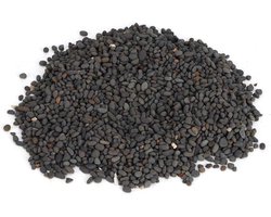 Aquarium Zand Grind - Vis Tank Bodem - Aquarium Decoratie - Niet Verkleurend - 1 zak - Zwart