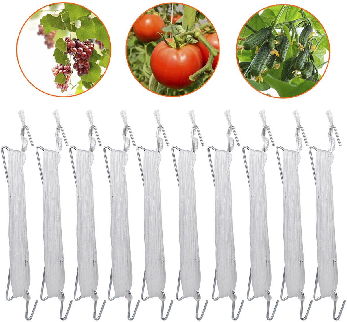 REWYTAZ-Robuste Tomatenhaken Set met Plantengespen en Touw