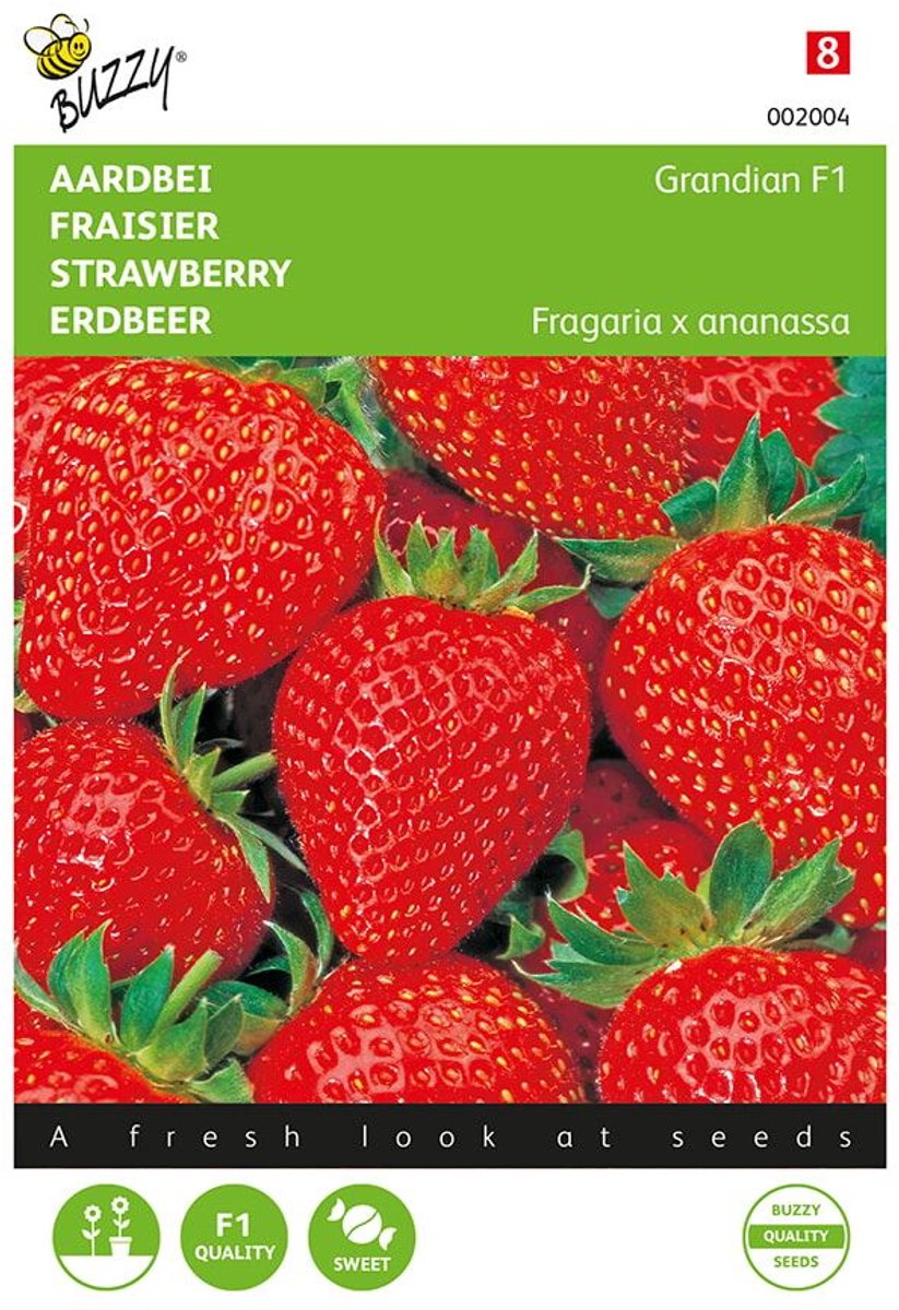 Buzzy® Aardbeien Grandian F1