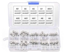 Glaszekeringen Auto - Zekering Set - Circuit Beschermen - 200 Stuks Gesorteerd - 10 Ampère Waarden - Zilver