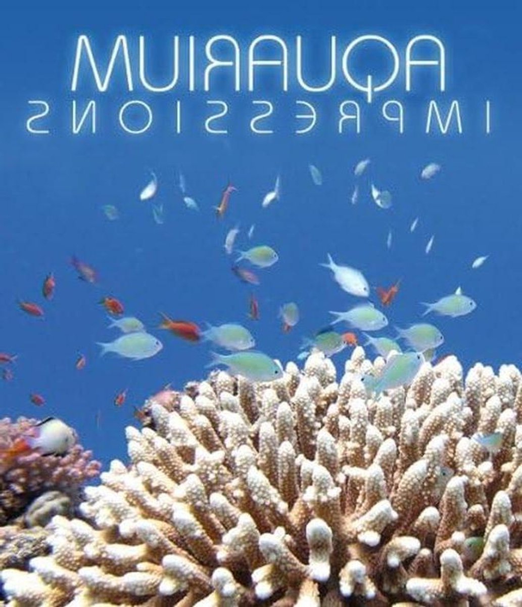 Aquarium Impressions - Onderwater Wereld - Decoratie Aquarium - Levendige Beelden - 17 cm - Meerdere Kleuren