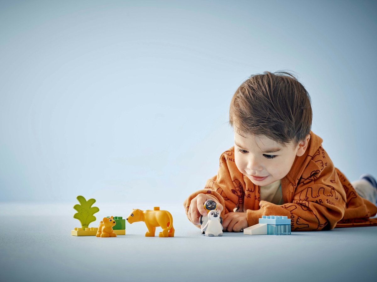 LEGO DUPLO Stad Families van wilde dieren: pinguïns en leeuwen - 10442 — afbeelding 9