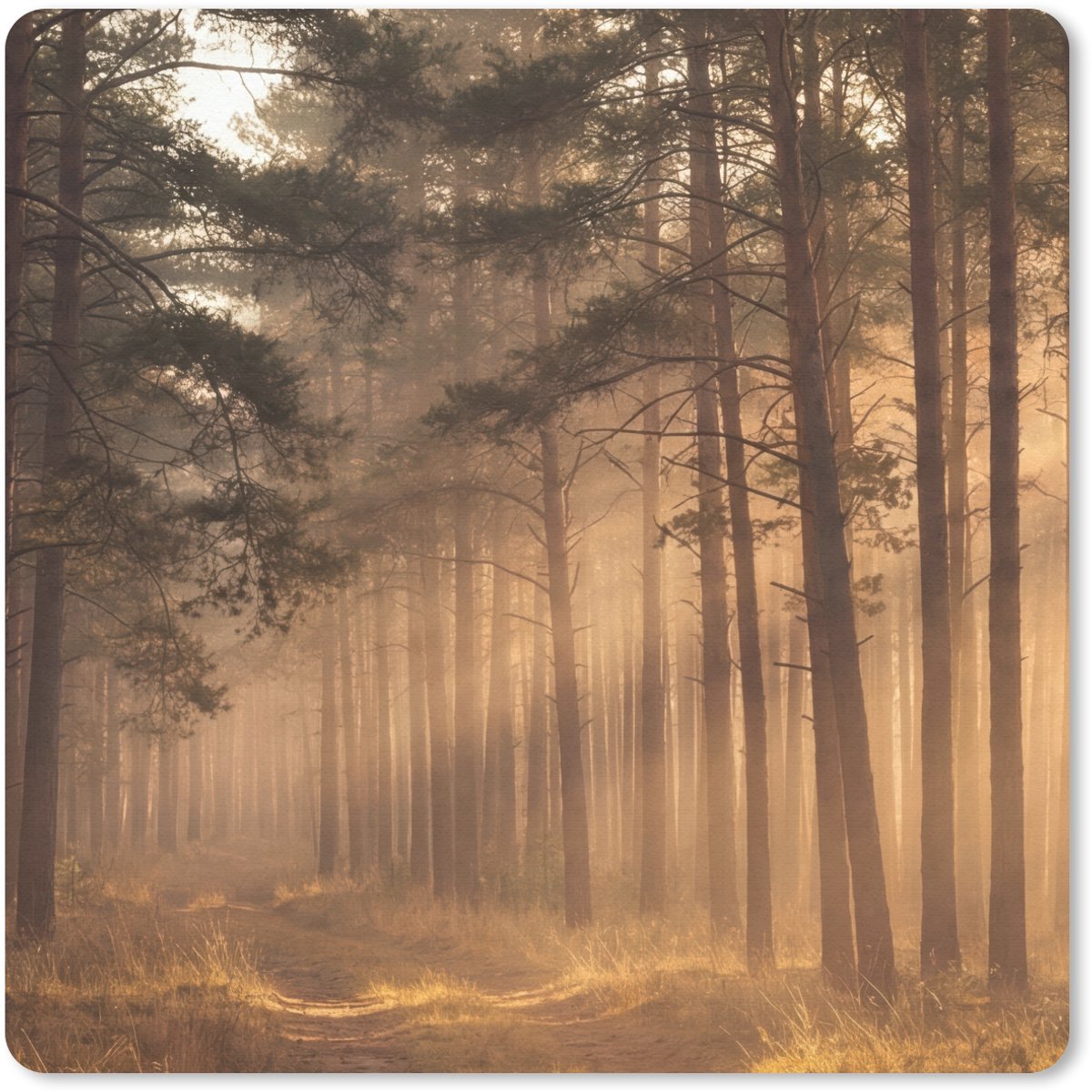 Muismat 20x20 cm - Mousepad Bos - Mist - Zonlicht - Muismatten