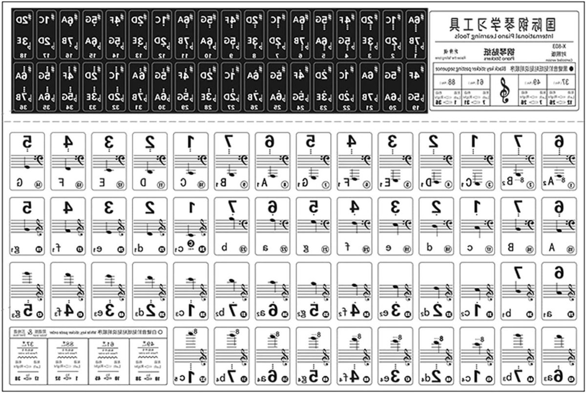 Piano Toetsenbord Stickers - Kleurrijke Grotere Letters - Muziek Leren - Nooit Vervagend - 88/61/54 Toetsen - Transparant