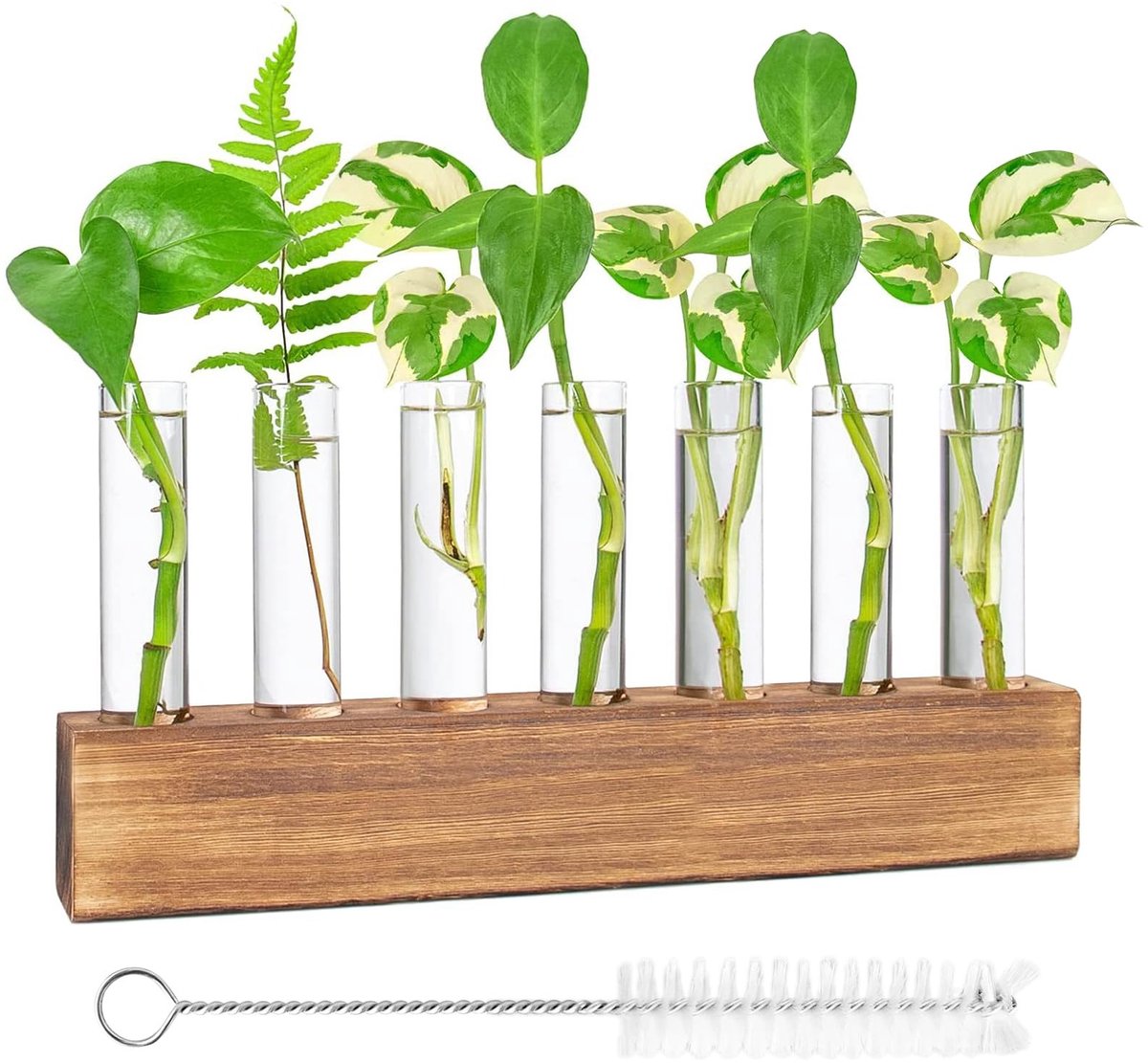 Dailygoods - Glazen Vaas voor Hydrocultuur met Houten Standaard