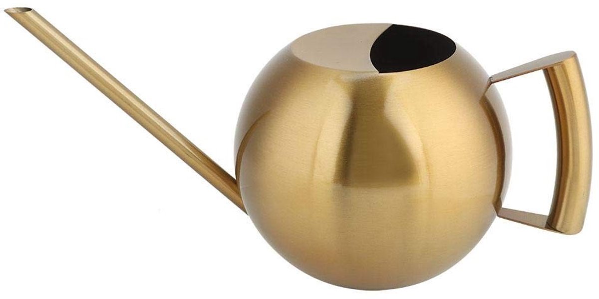 Dailygoods - Roestvrijstalen gieter - Tuingereedschap - 1000 ml - Herbruikbare verpakking - Perfect voor bloemen en planten - Duurzaam en stijlvol