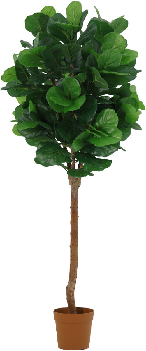 Trendyplants - Kunst Ficus Lyrata Tree - Tabaksplant - Kunstplant - Hoogte 180cm - Potmaat Ø23cm