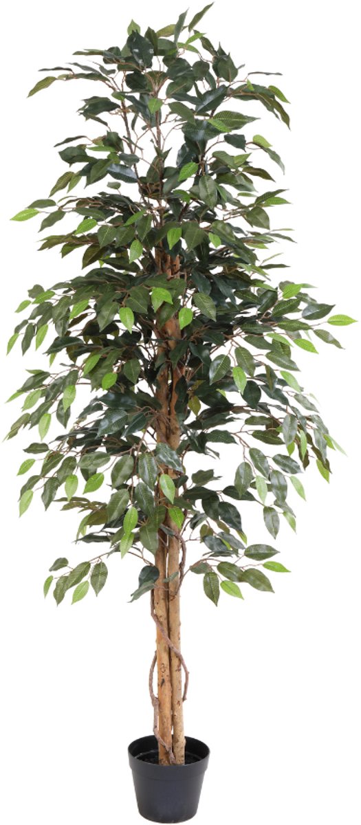 Trendyplants - Kunst Ficus Benjamina - Treurvijg - Kunstplant - Hoogte 160cm - Potmaat Ø18cm