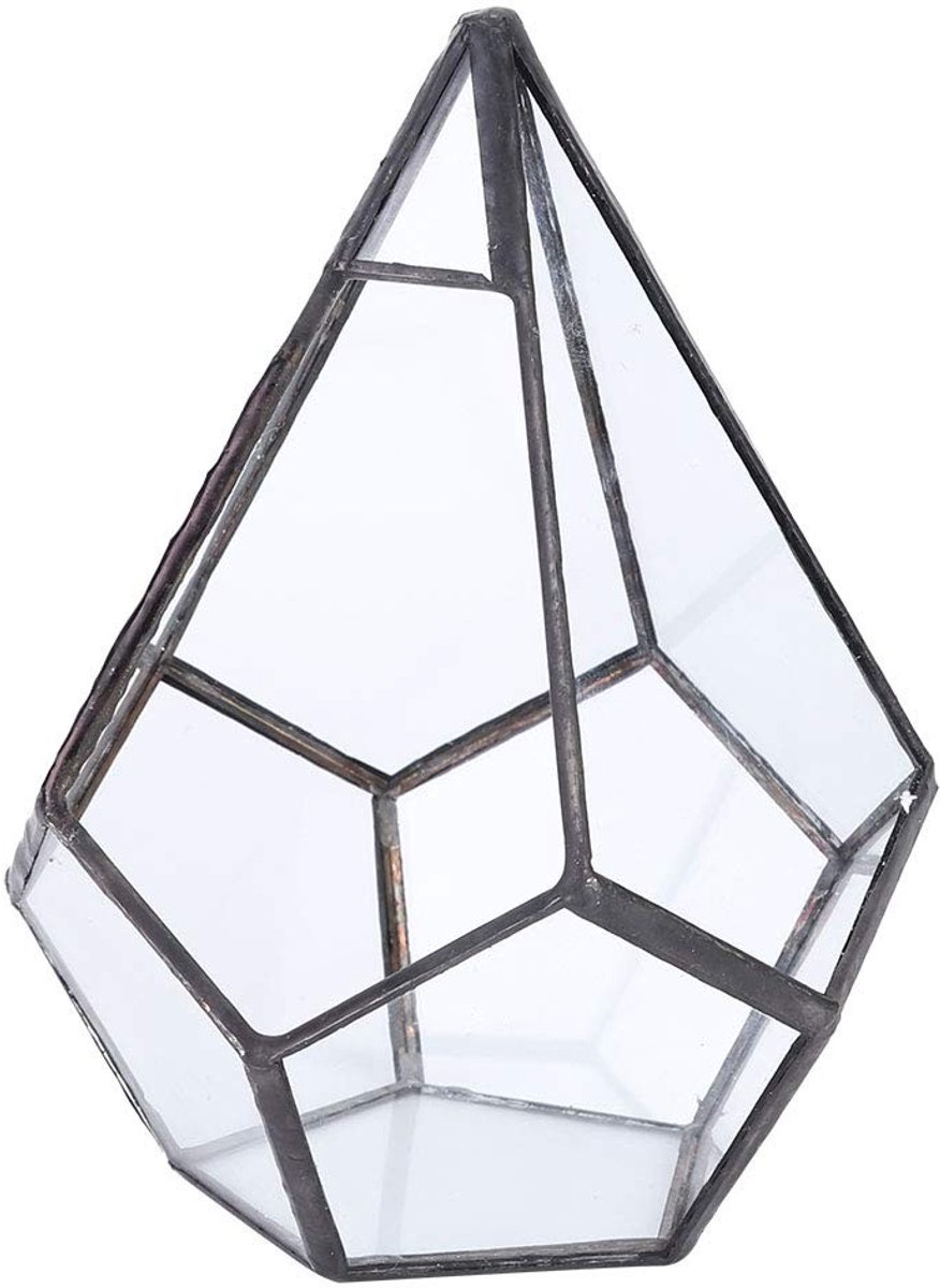 BRENZOOS- Terrarium Geometrisch - Glazen Plantenbak - Sterk en Duurzaam - Voor Vetplanten - Decoratie - Corrosiebestendig