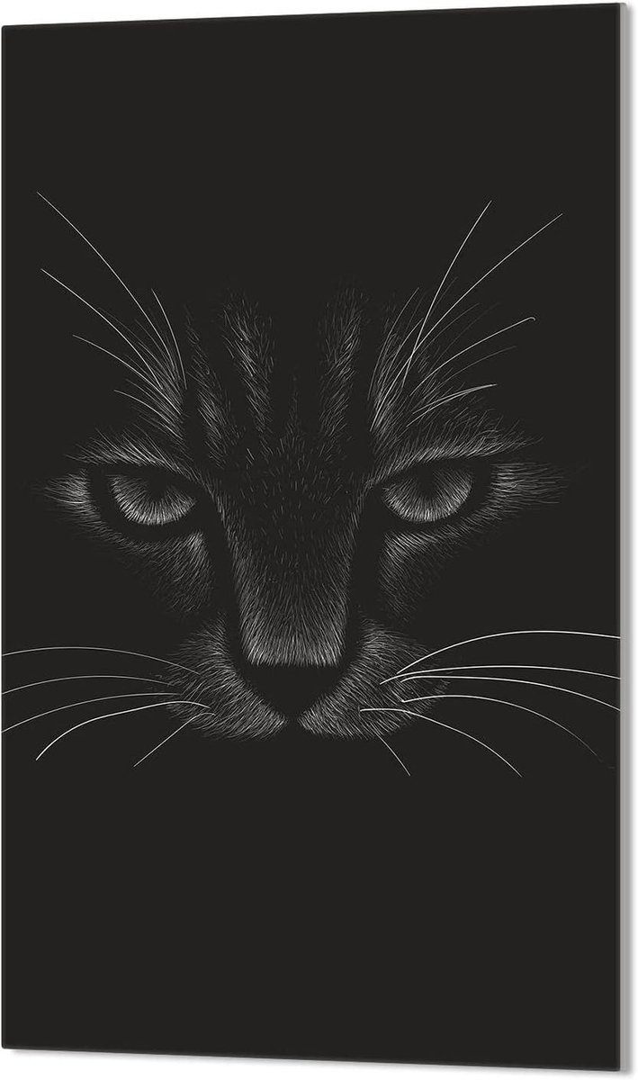Fornuis afdekplaat - Kookplaat bescherming - Keuken decoratie - Gehard glas - 30 x 52 cm - Veelkleurig